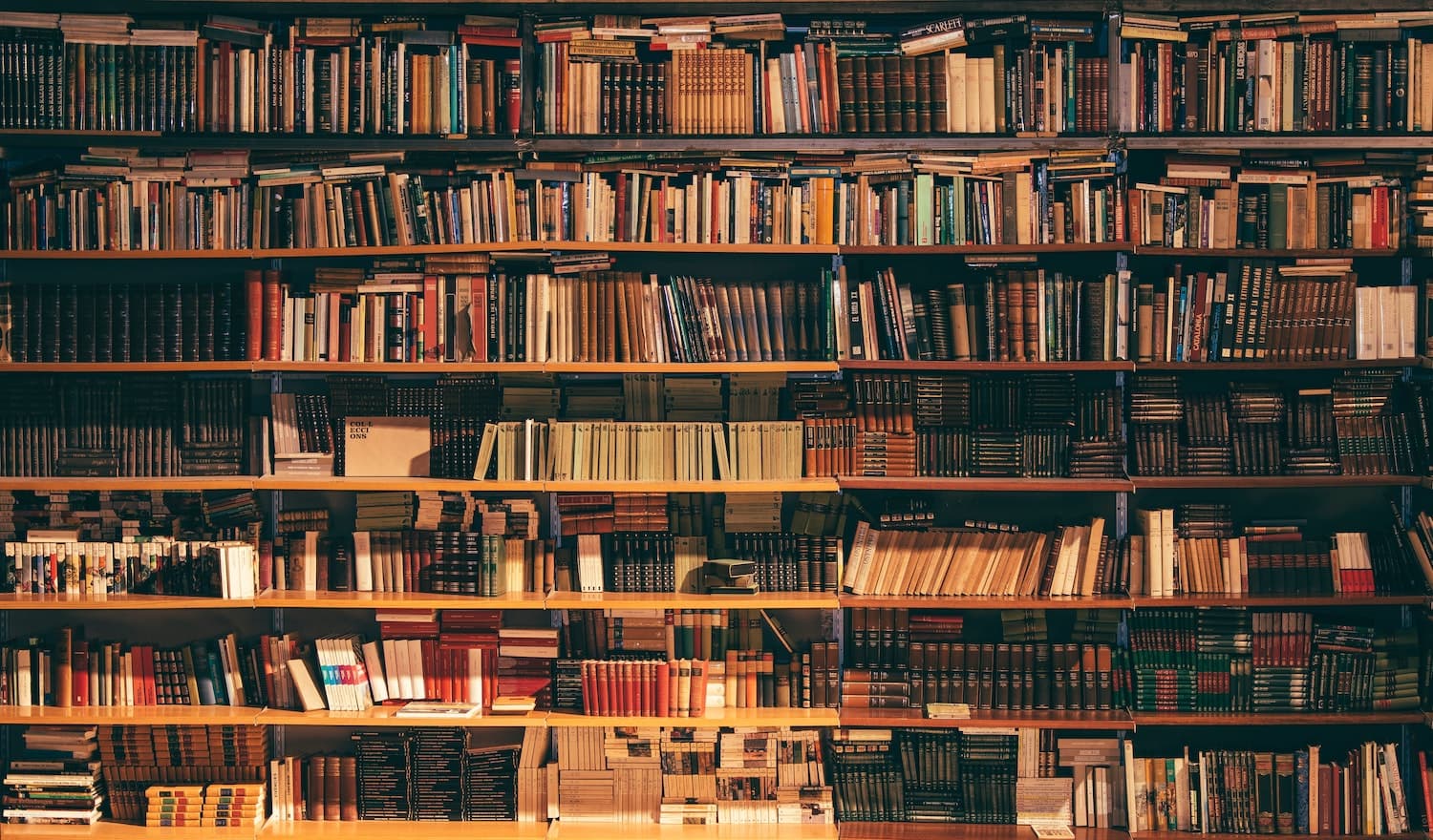 Everything you need to know about model monitoring for natural language processing